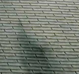 asphalt roof shingle dark stains