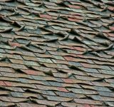Severe asphalt roof shingle cupping