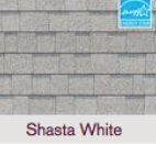 Shasta white