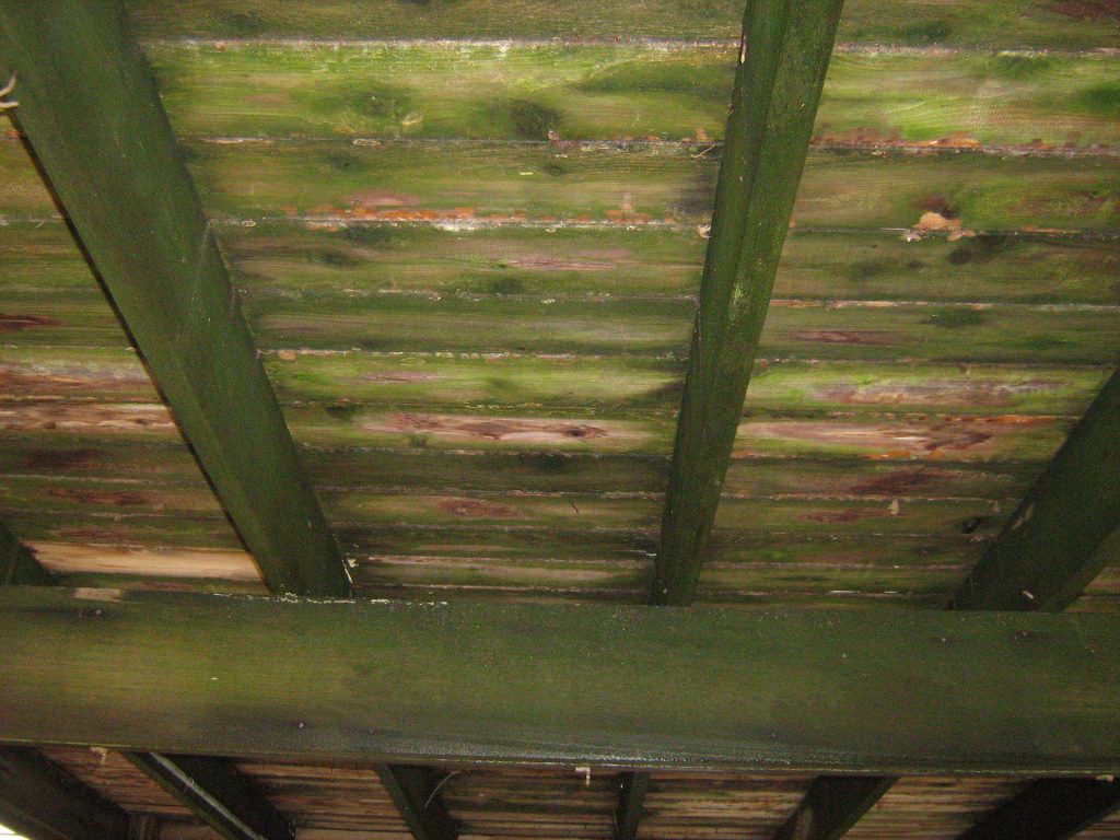 Under Deck Ceiling before