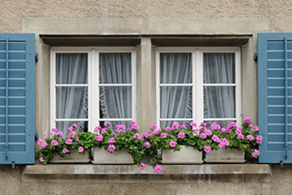 Double Hung WindowsDouble Hung Windows