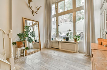 window repair & replacement services