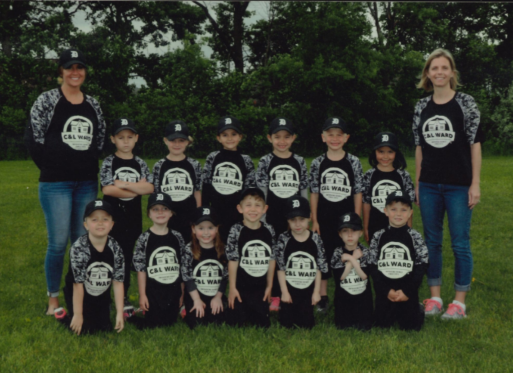 Davison Youth Baseball 2017