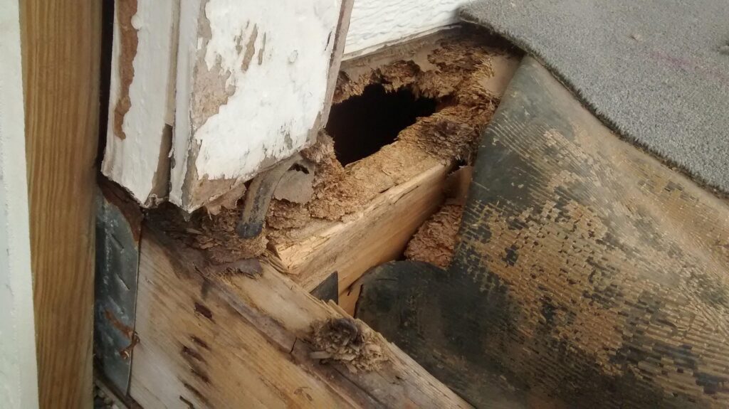 Should I Repair or Replace My Deck?: How to know whether to repair a damaged section or invest in a new build